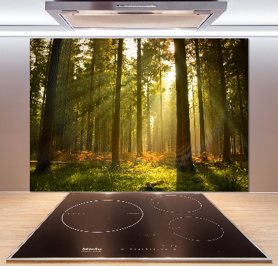 Kitchen splashback Forest in the sun