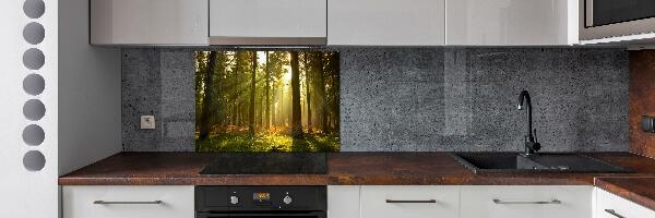 Kitchen splashback Forest in the sun