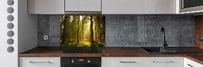 Kitchen splashback Forest in the sun