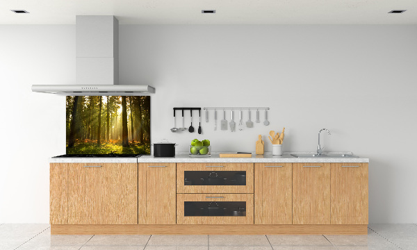 Kitchen splashback Forest in the sun