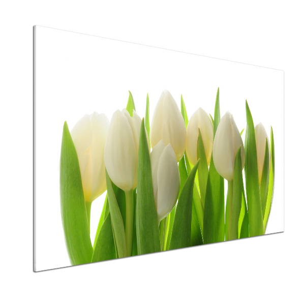 Cooker splashback Tulips