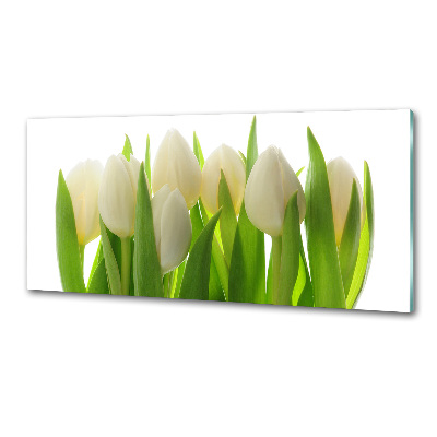 Cooker splashback Tulips