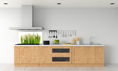 Cooker splashback Tulips