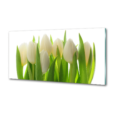 Cooker splashback Tulips