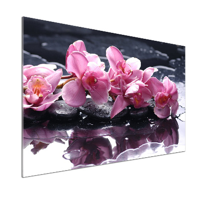 Cooker splashback Pink orchid