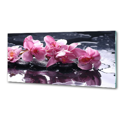 Cooker splashback Pink orchid