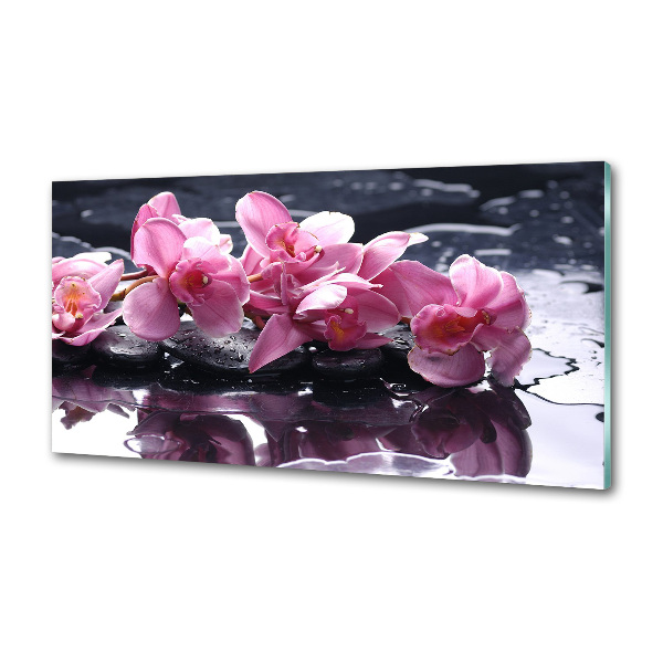 Cooker splashback Pink orchid