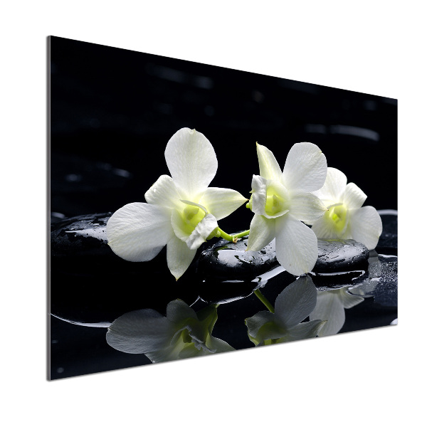 Cooker splashback Orchid