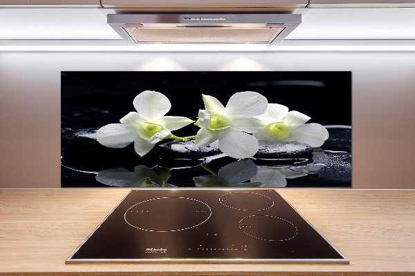 Cooker splashback Orchid