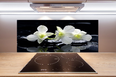 Cooker splashback Orchid