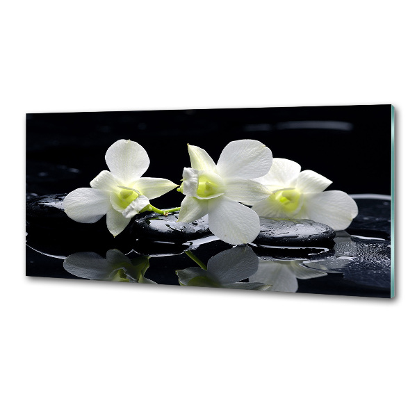 Cooker splashback Orchid