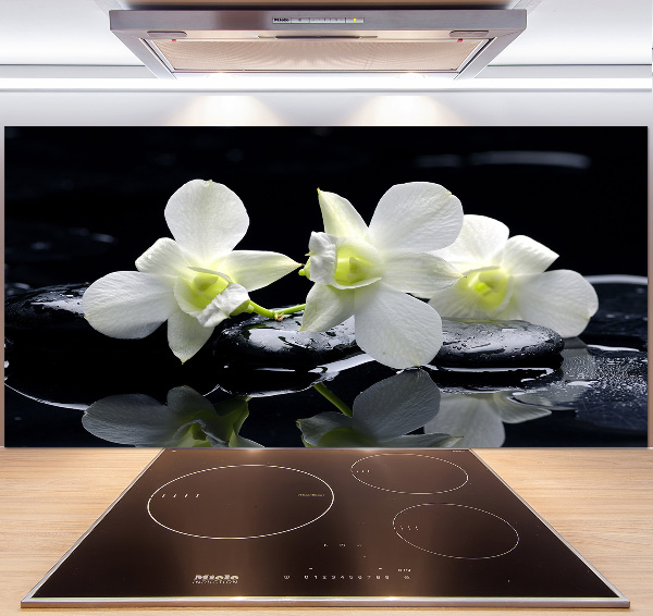 Cooker splashback Orchid