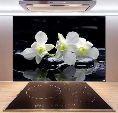 Cooker splashback Orchid