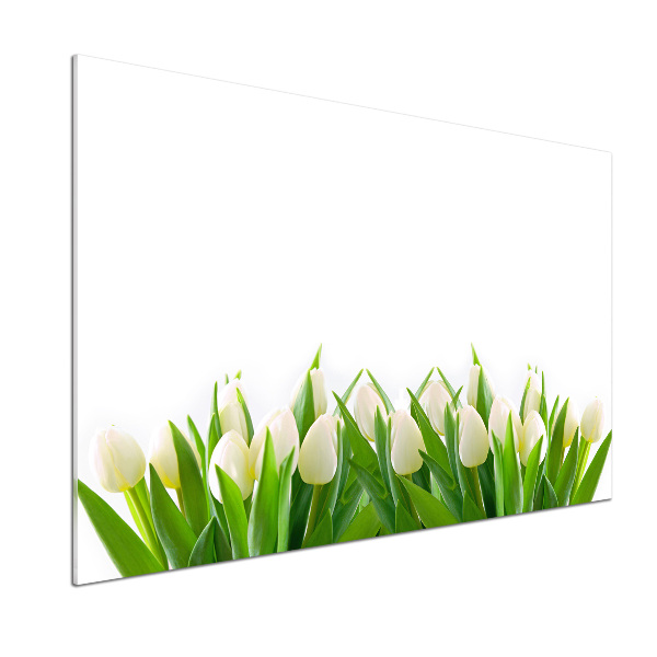 Cooker splashback White tulips