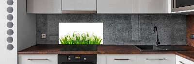 Cooker splashback White tulips