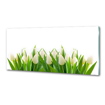 Cooker splashback White tulips