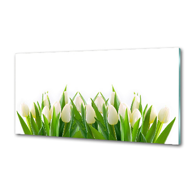 Cooker splashback White tulips