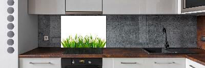 Cooker splashback White tulips