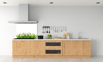 Cooker splashback White tulips