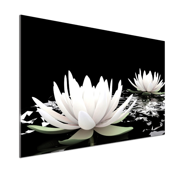 Cooker splashback Water lilies