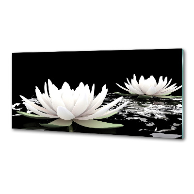 Cooker splashback Water lilies