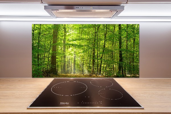 Cooker splashback Deciduous forest