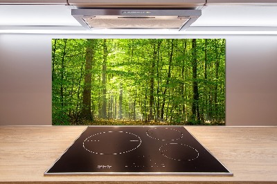 Cooker splashback Deciduous forest