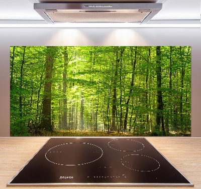 Cooker splashback Deciduous forest