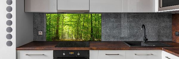 Cooker splashback Deciduous forest