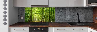 Cooker splashback Deciduous forest