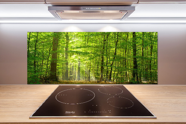 Cooker splashback Deciduous forest