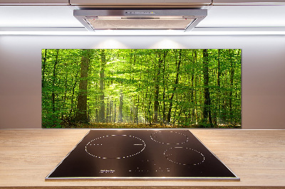 Cooker splashback Deciduous forest