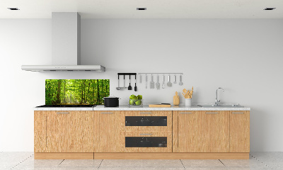 Cooker splashback Deciduous forest