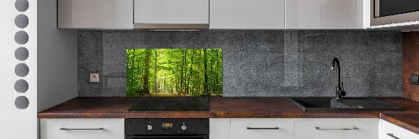 Cooker splashback Deciduous forest