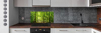 Cooker splashback Deciduous forest