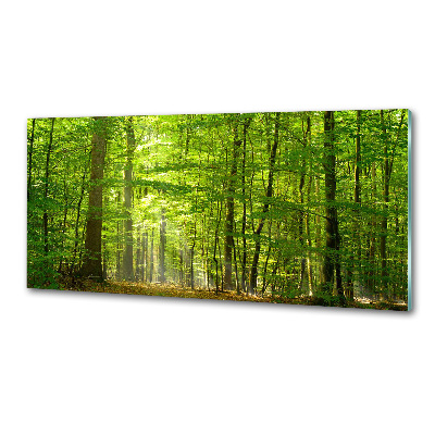 Cooker splashback Deciduous forest