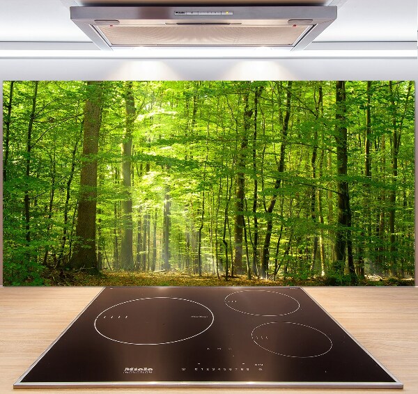 Cooker splashback Deciduous forest