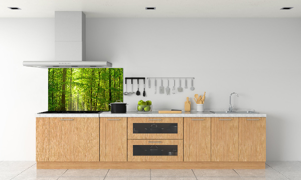 Cooker splashback Deciduous forest