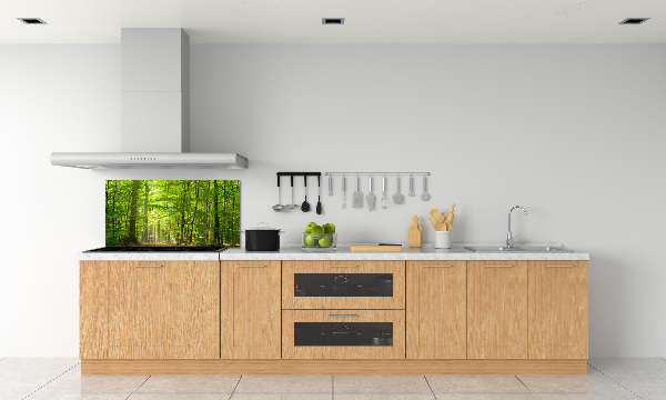 Cooker splashback Deciduous forest