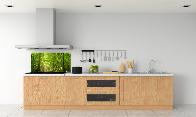 Cooker splashback Deciduous forest