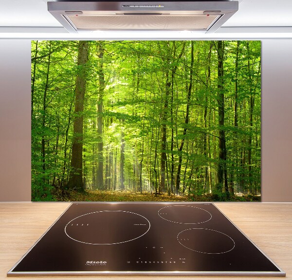 Cooker splashback Deciduous forest