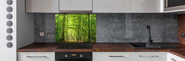 Cooker splashback Deciduous forest