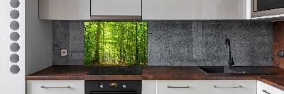 Cooker splashback Deciduous forest