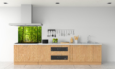 Cooker splashback Deciduous forest