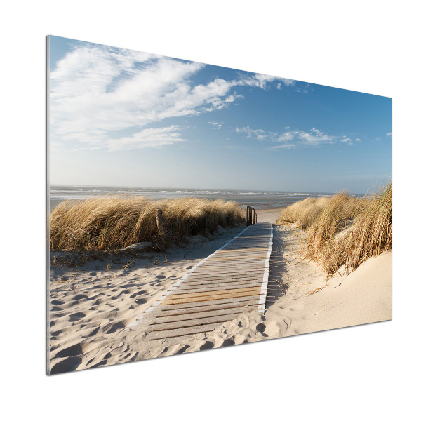 Cooker splashback Path on the beach