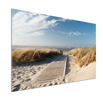 Cooker splashback Path on the beach