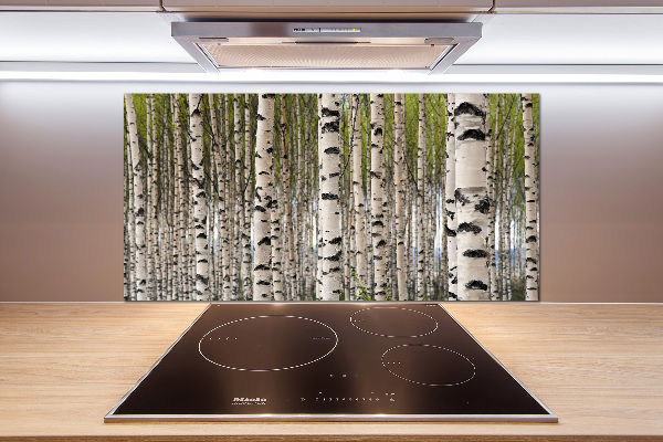 Cooker splashback Birch forest