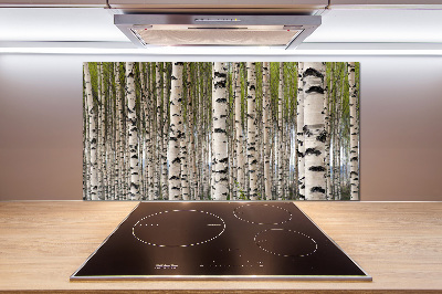 Cooker splashback Birch forest