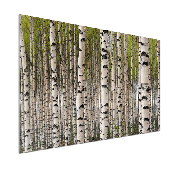 Cooker splashback Birch forest