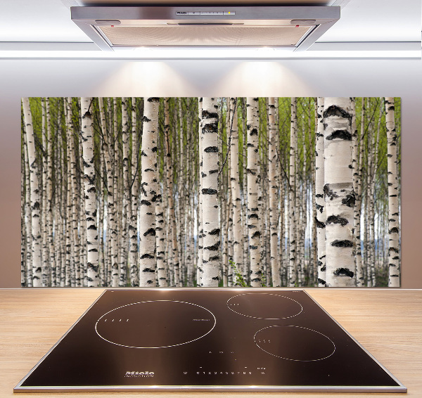 Cooker splashback Birch forest